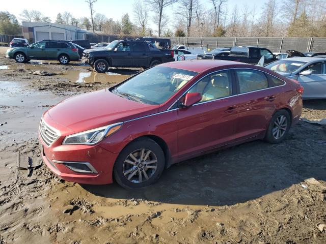 HYUNDAI SONATA SE 2016 5npe24af2gh421547