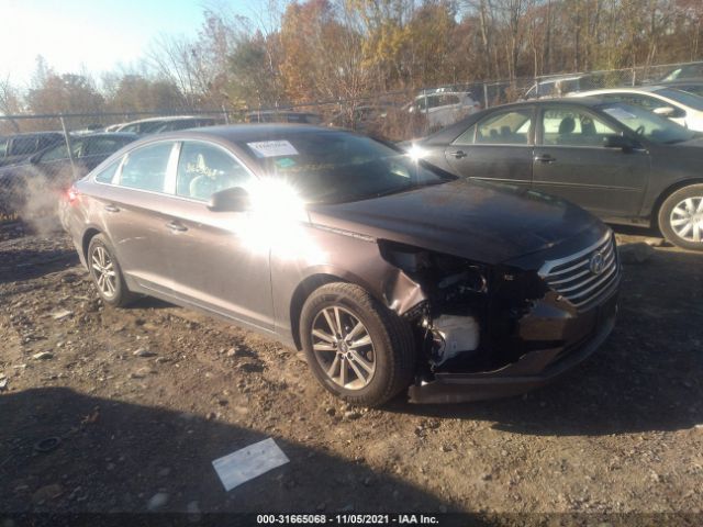 HYUNDAI SONATA 2016 5npe24af2gh425713