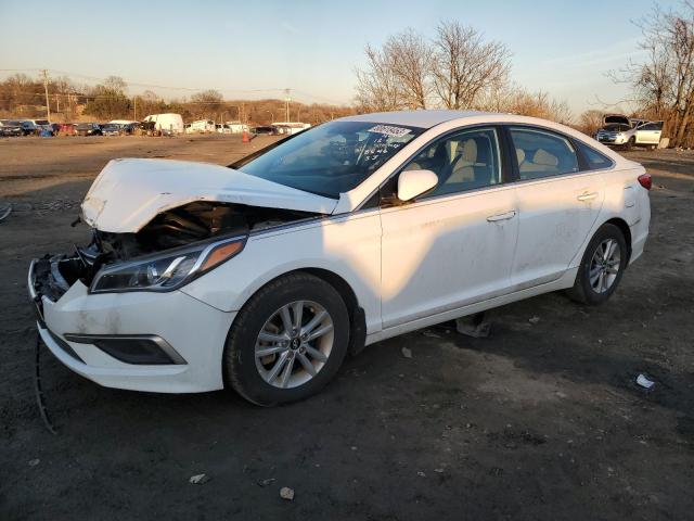 HYUNDAI SONATA 2016 5npe24af2gh428546