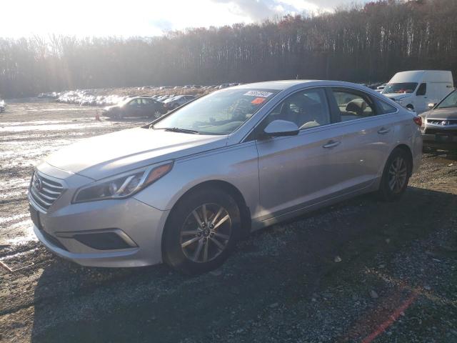 HYUNDAI SONATA 2016 5npe24af2gh428708