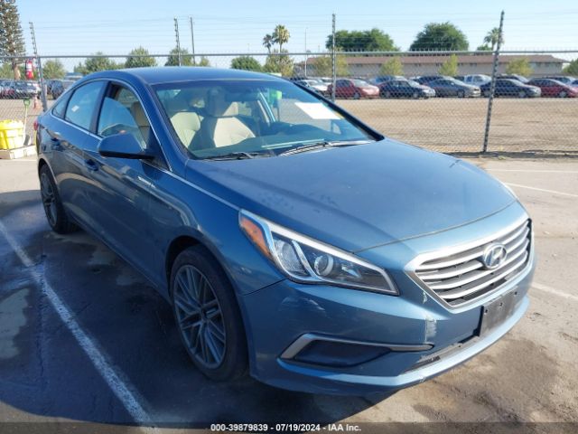 HYUNDAI SONATA 2017 5npe24af2hh442142