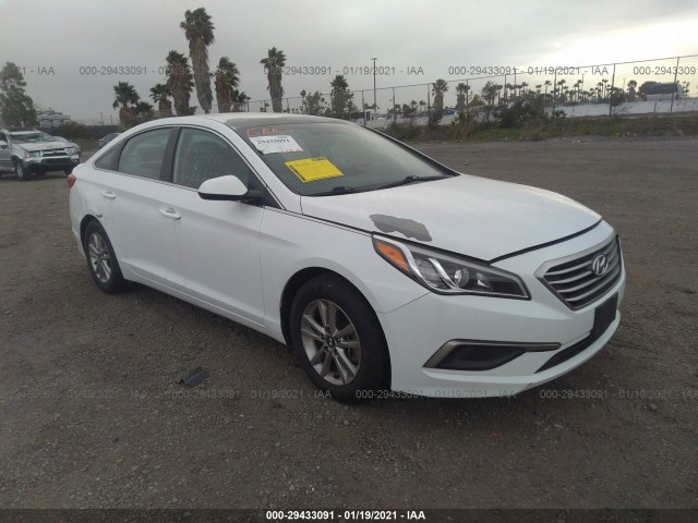 HYUNDAI SONATA 2017 5npe24af2hh444635