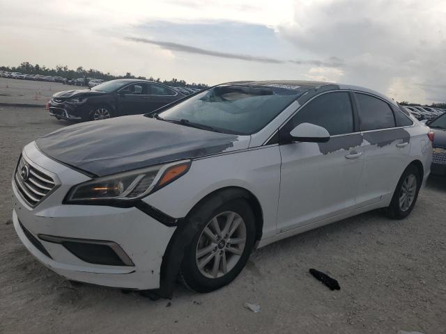 HYUNDAI SONATA 2017 5npe24af2hh492698