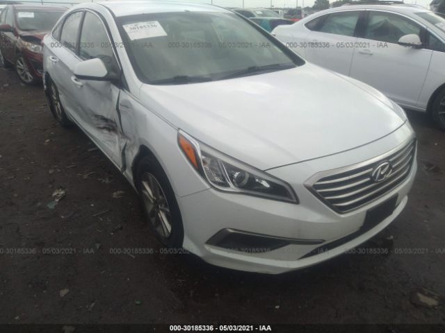 HYUNDAI SONATA 2017 5npe24af2hh511069