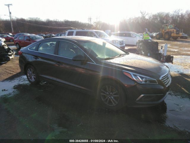 HYUNDAI SONATA 2017 5npe24af2hh523318