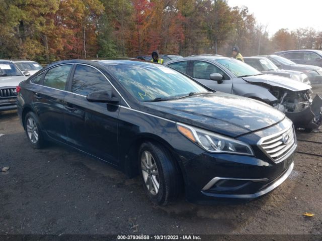 HYUNDAI SONATA 2017 5npe24af2hh526493