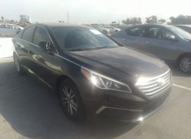 HYUNDAI SONATA 2017 5npe24af2hh530799