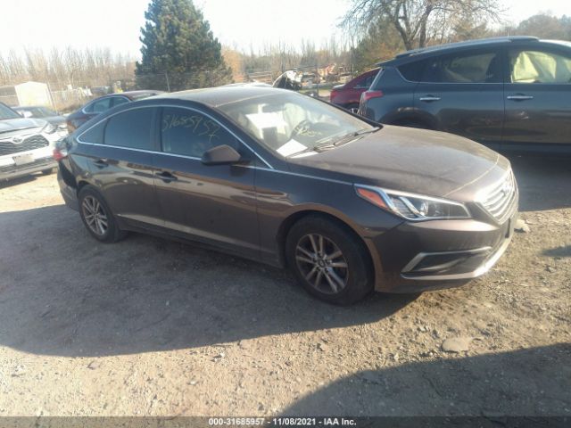 HYUNDAI SONATA 2017 5npe24af2hh531693