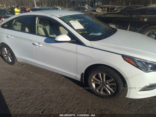 HYUNDAI SONATA 2017 5npe24af2hh558893