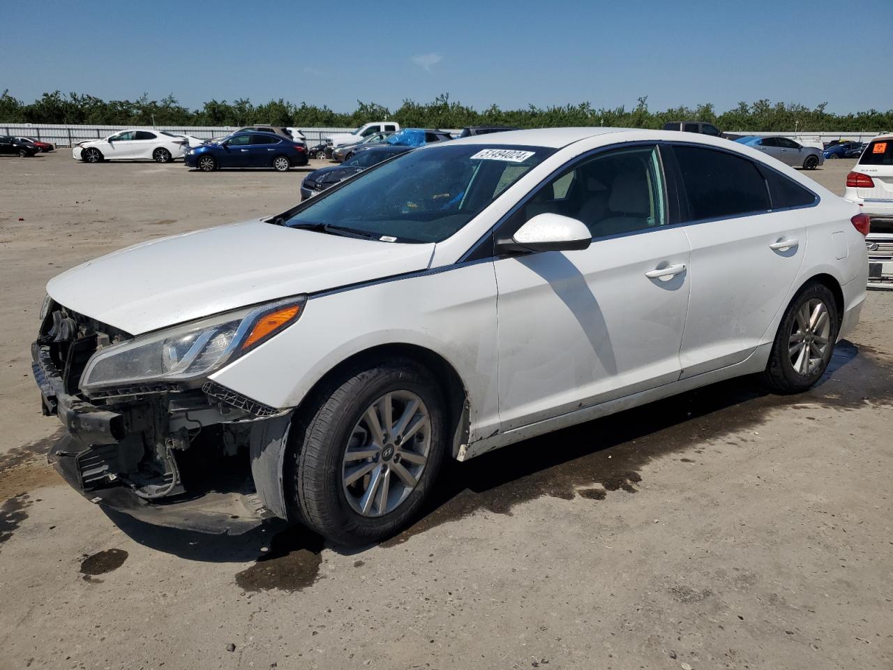 HYUNDAI SONATA 2017 5npe24af2hh558912