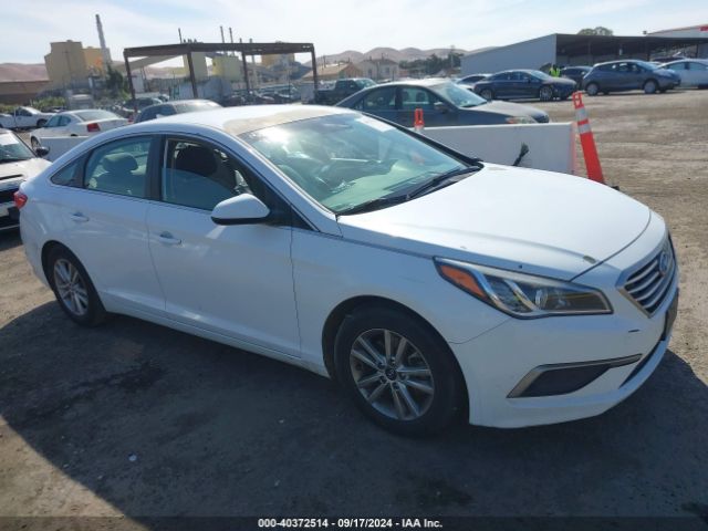 HYUNDAI SONATA 2017 5npe24af2hh560367