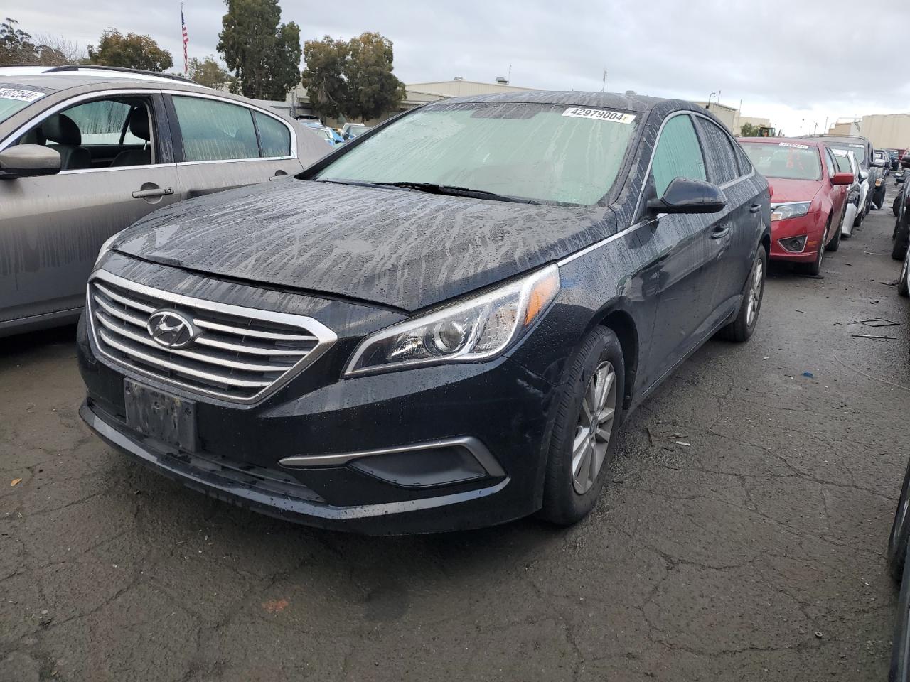 HYUNDAI SONATA 2017 5npe24af2hh564290