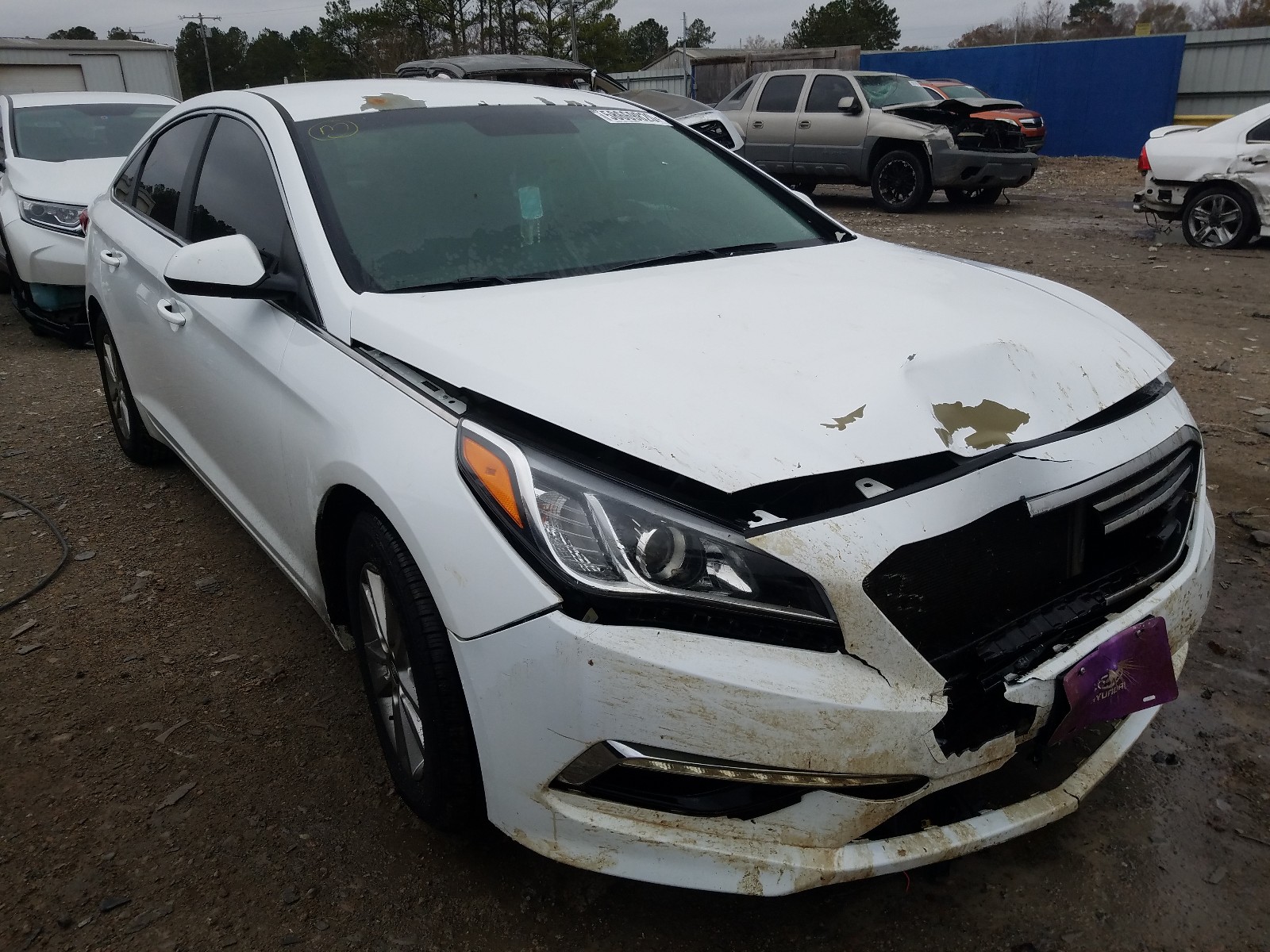 HYUNDAI SONATA SE 2017 5npe24af2hh583146