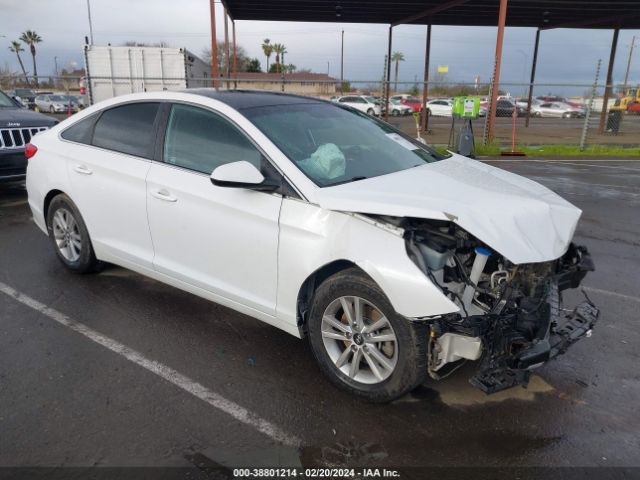 HYUNDAI SONATA 2017 5npe24af2hh584331