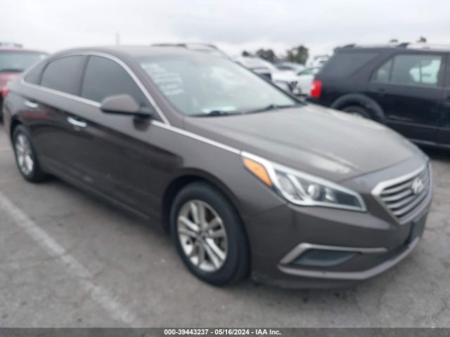 HYUNDAI SONATA 2017 5npe24af2hh585253