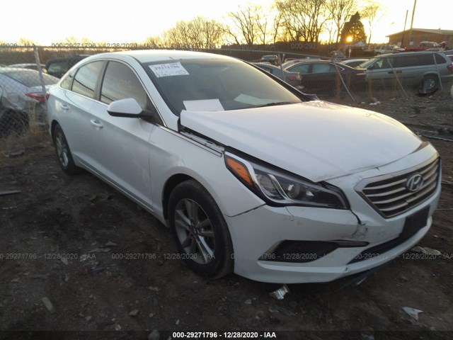 HYUNDAI SONATA 2017 5npe24af2hh585947