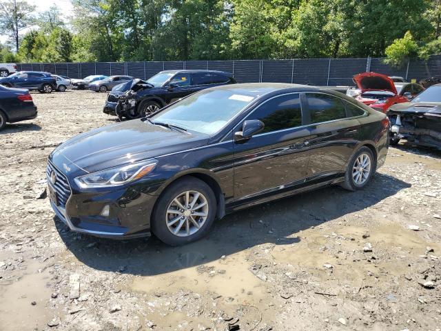 HYUNDAI SONATA SE 2019 5npe24af2kh743632