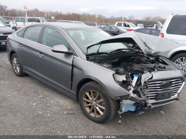 HYUNDAI SONATA 2019 5npe24af2kh745431