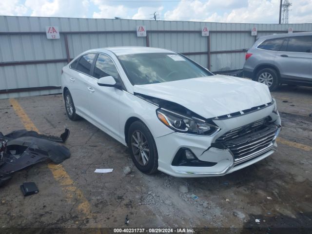 HYUNDAI SONATA 2019 5npe24af2kh750130