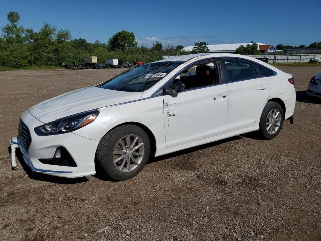 HYUNDAI SONATA 2019 5npe24af2kh755571