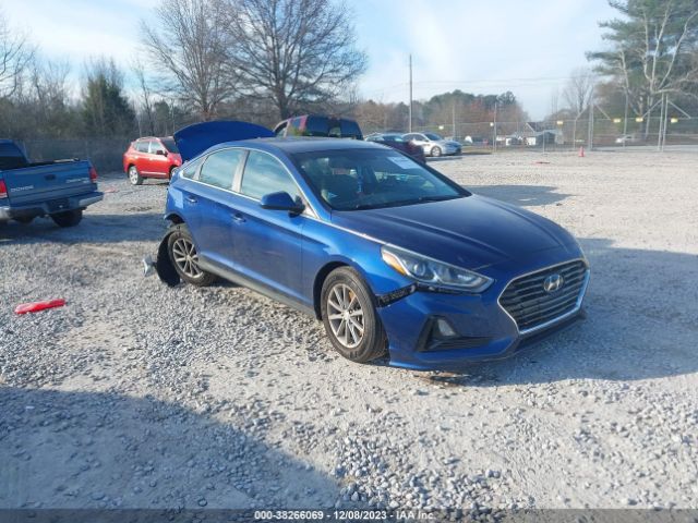 HYUNDAI SONATA 2019 5npe24af2kh765856