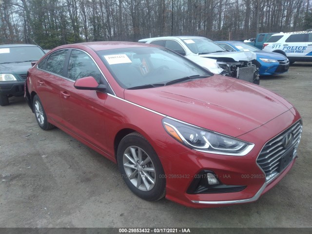 HYUNDAI SONATA 2019 5npe24af2kh766635