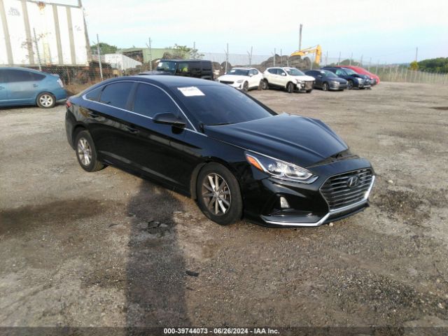 HYUNDAI SONATA 2019 5npe24af2kh767137