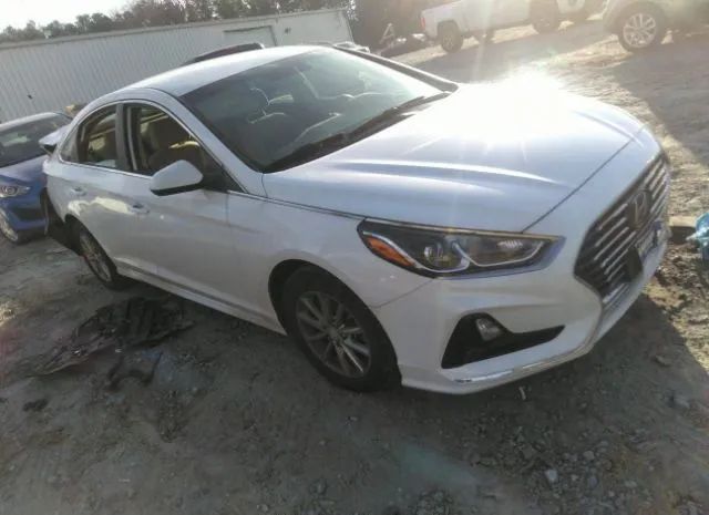 HYUNDAI SONATA 2019 5npe24af2kh768160