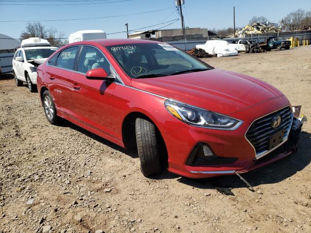 HYUNDAI SONATA SE 2019 5npe24af2kh774895