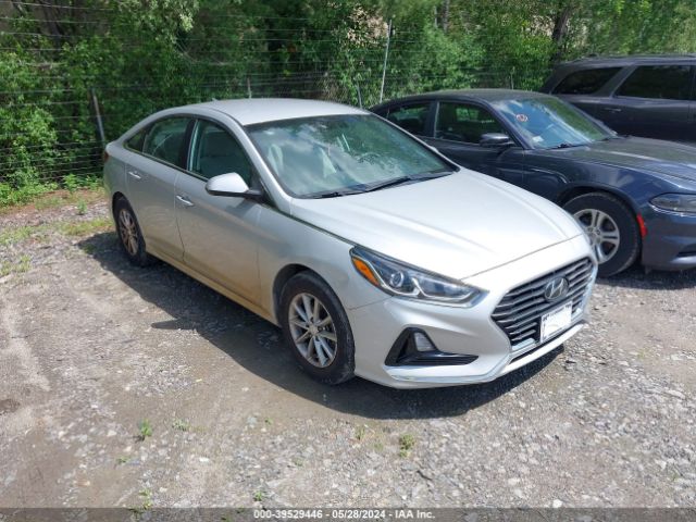 HYUNDAI SONATA 2019 5npe24af2kh781314