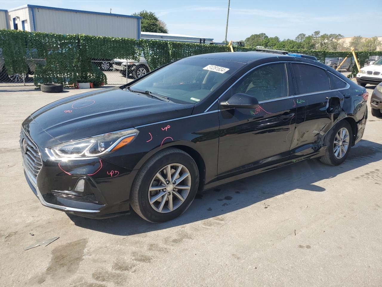 HYUNDAI SONATA 2019 5npe24af2kh781684