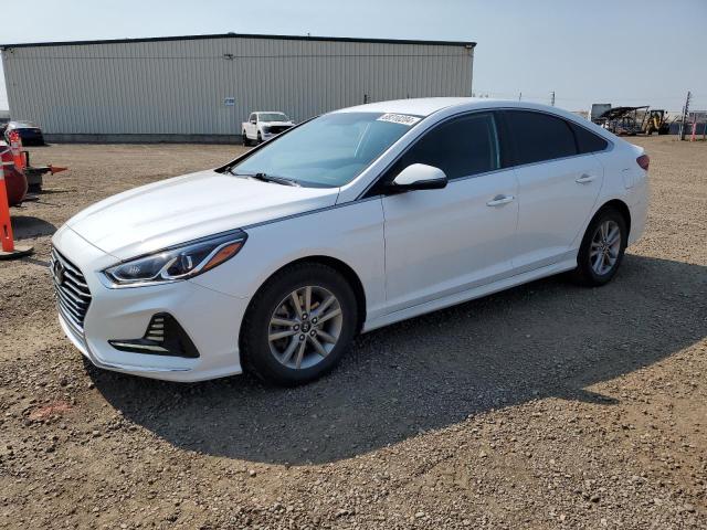 HYUNDAI SONATA SE 2019 5npe24af2kh783984