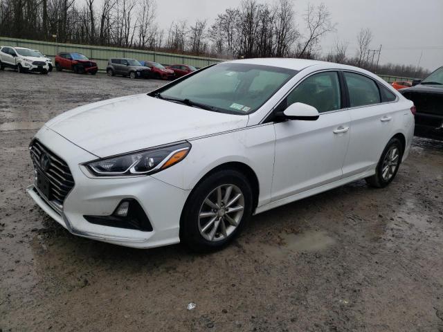 HYUNDAI SONATA 2019 5npe24af2kh784987