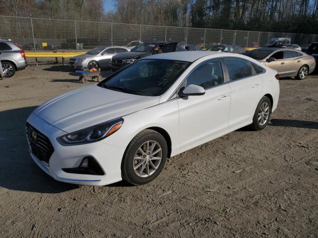 HYUNDAI SONATA SE 2019 5npe24af2kh786772