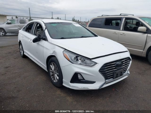 HYUNDAI SONATA 2019 5npe24af2kh787386