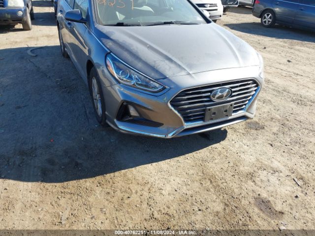 HYUNDAI SONATA 2019 5npe24af2kh794984