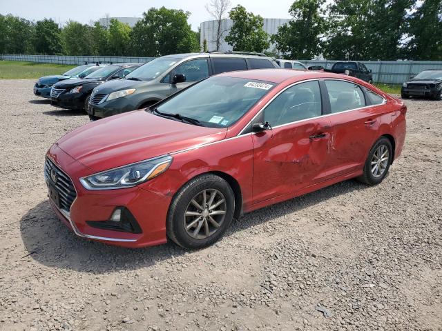 HYUNDAI SONATA SE 2019 5npe24af2kh796329