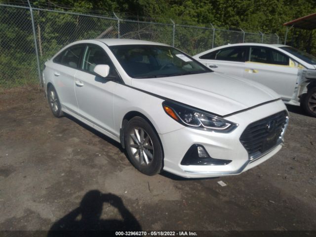 HYUNDAI SONATA 2019 5npe24af2kh797786