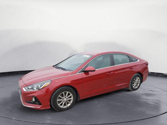 HYUNDAI SONATA SE 2019 5npe24af2kh798694