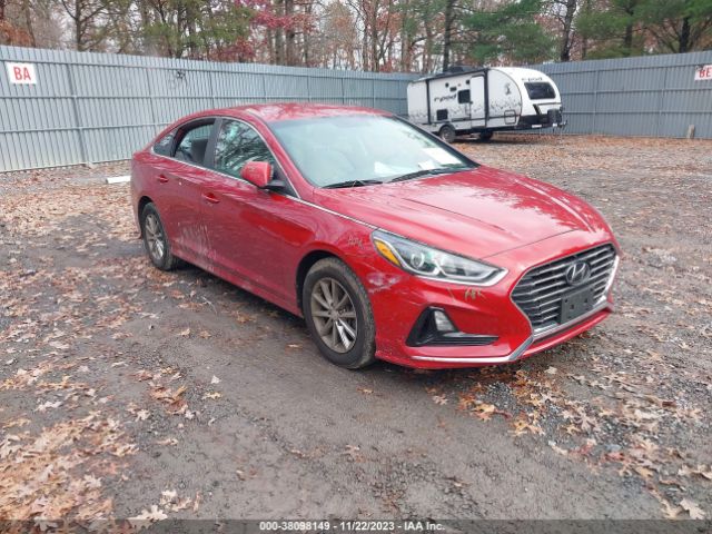 HYUNDAI SONATA 2019 5npe24af2kh802436