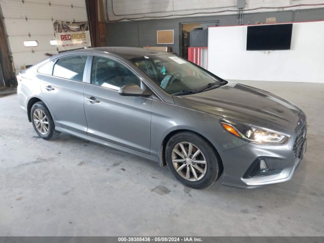 HYUNDAI SONATA 2019 5npe24af2kh804784