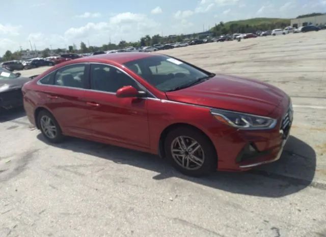 HYUNDAI SONATA 2019 5npe24af2kh805613