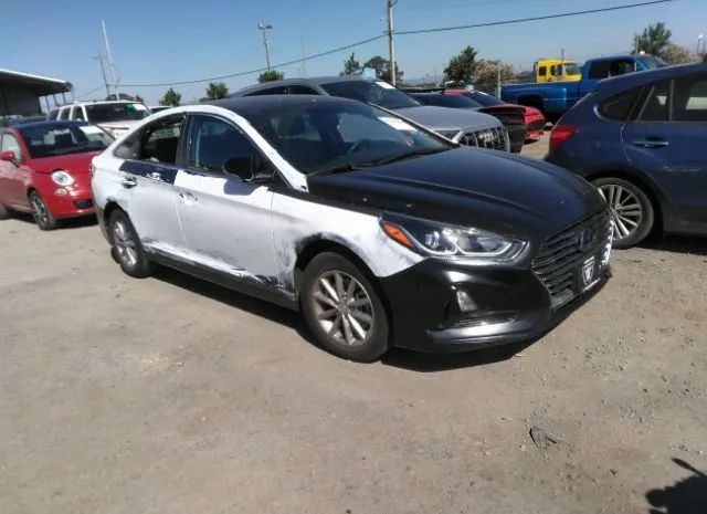 HYUNDAI SONATA 2019 5npe24af2kh812674