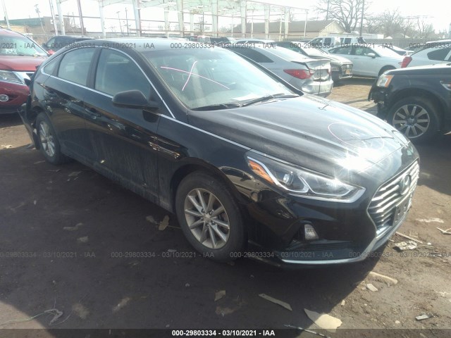 HYUNDAI SONATA 2019 5npe24af2kh819558