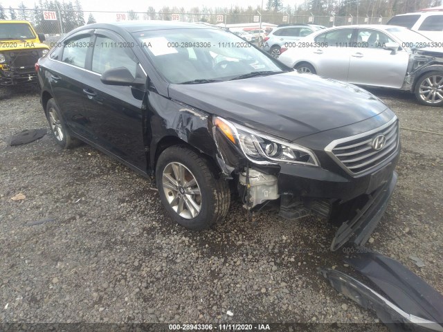 HYUNDAI SONATA 2015 5npe24af3fh006025