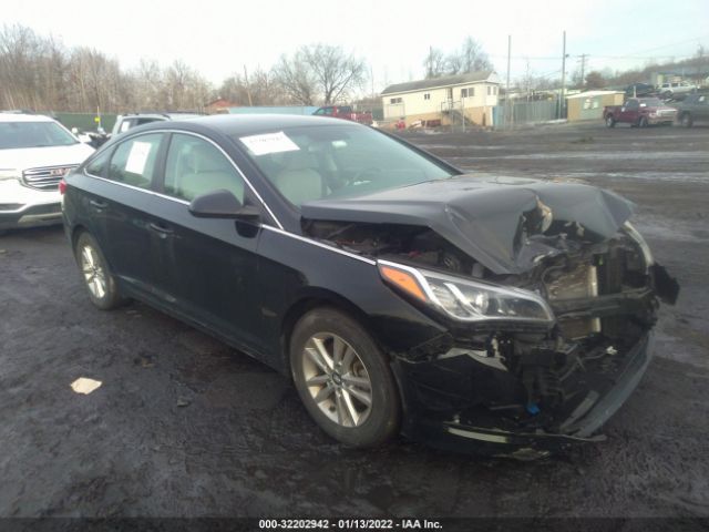 HYUNDAI SONATA 2015 5npe24af3fh008275