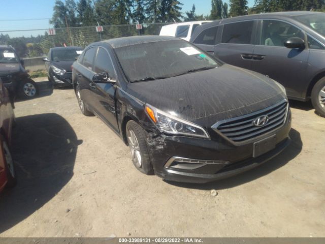 HYUNDAI SONATA 2015 5npe24af3fh008812