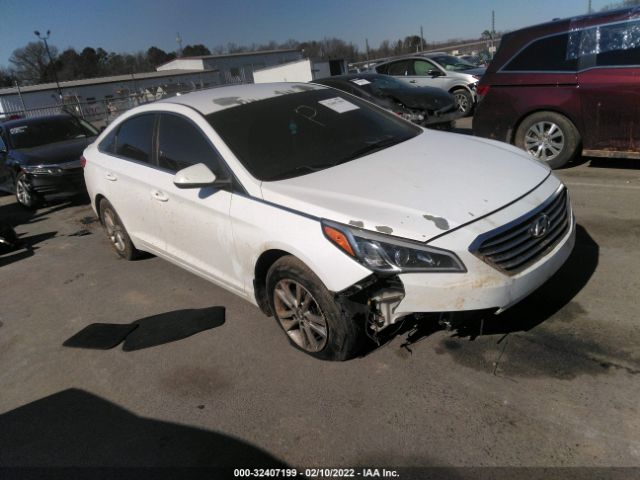 HYUNDAI SONATA 2015 5npe24af3fh009782