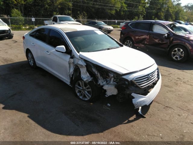 HYUNDAI SONATA 2015 5npe24af3fh025853