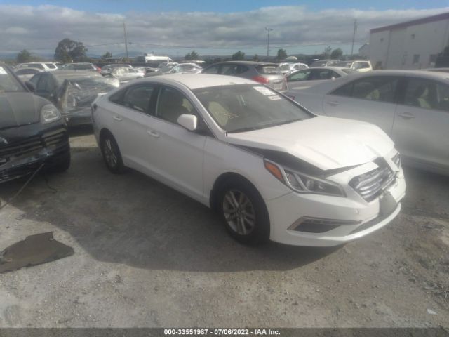 HYUNDAI SONATA 2015 5npe24af3fh108005